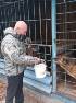 Вячеслав Доронин оказал помощь приюту для животных